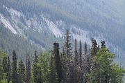 33 - Maligne Canyon, Medicine Lake, Maligne Lake - IMG_1116